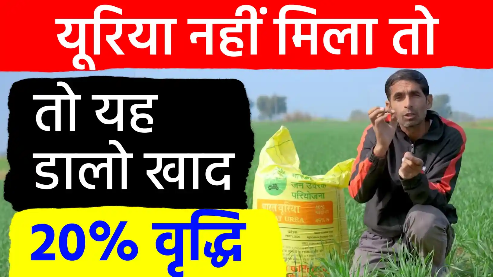 गेहूं की पैदावार में 20 प्रतिशत तक होगी बढ़ोतरी