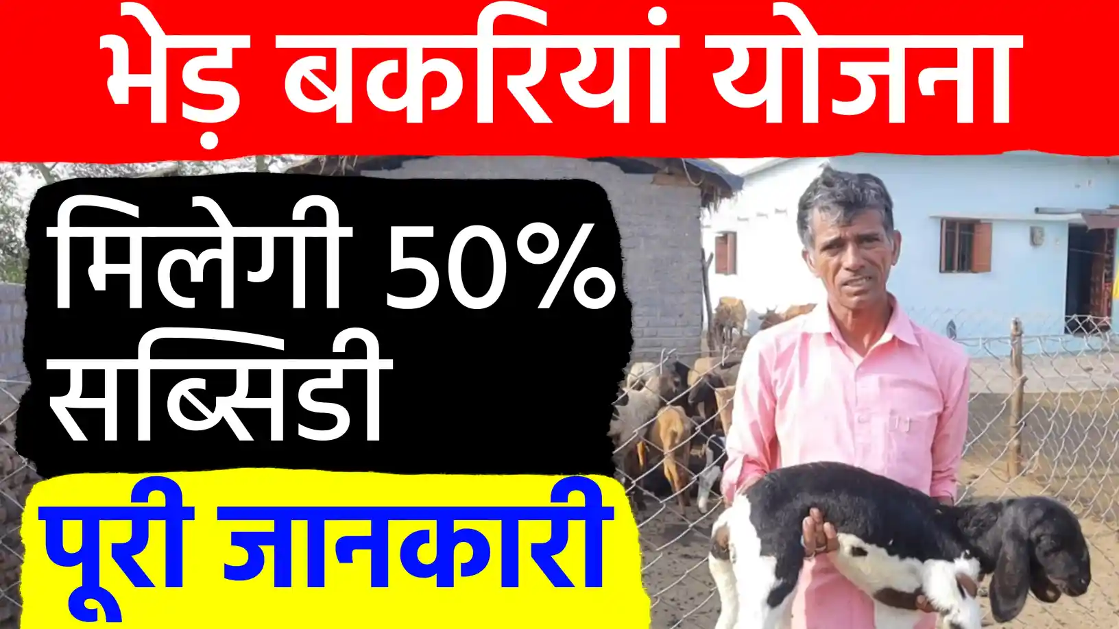 भेड़ पालन पर सरकार दे रही है 50% सब्सिडी