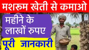 खेती से खुशहाली का नया रास्ता+र्मिंग से किसान कमा रहे लाखों का मुनाफा; नौकरी छोड़